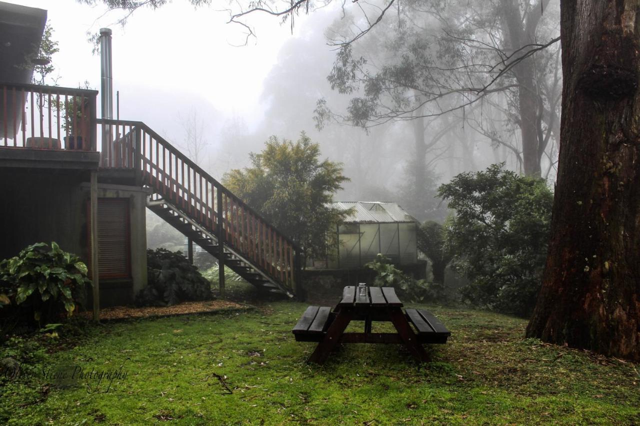 Tomah Retreat - Studio Chill With Fireplace And Clawfoot Bath Bed and Breakfast Mount Tomah Esterno foto