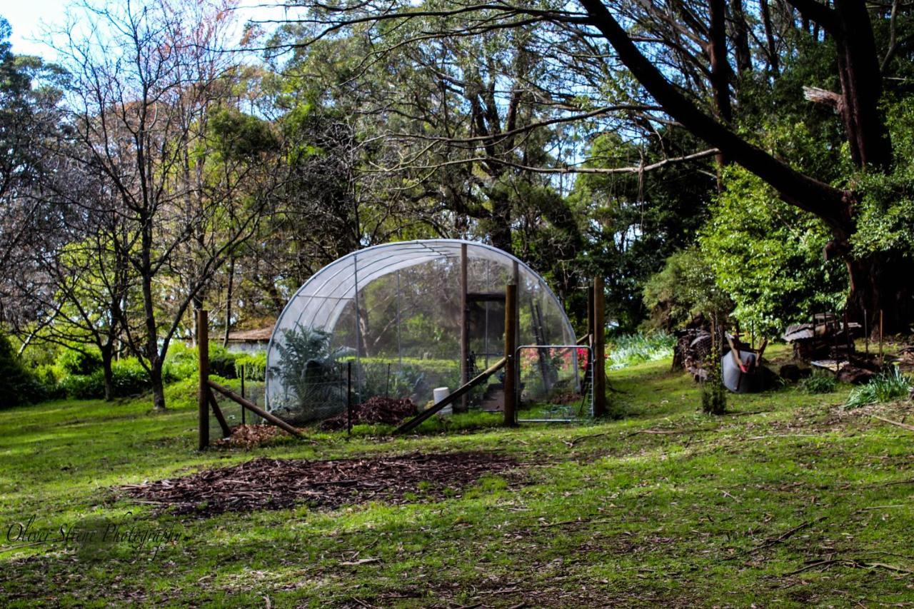 Tomah Retreat - Studio Chill With Fireplace And Clawfoot Bath Bed and Breakfast Mount Tomah Esterno foto