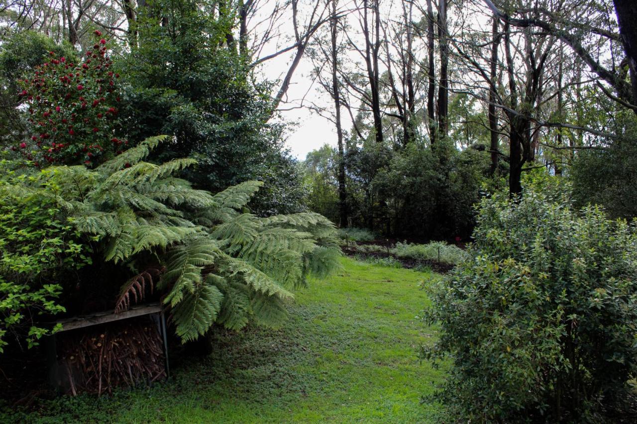 Tomah Retreat - Studio Chill With Fireplace And Clawfoot Bath Bed and Breakfast Mount Tomah Esterno foto